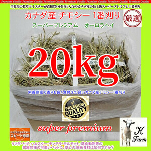 【12/24マデ限定】 カナダ産 チモシー 20kg スーパープレミアム （１番刈り）最上質オーロラヘイ /牧場運営の当方が見極めた極上チモシー