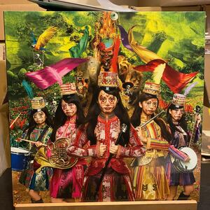 Momoiro Clover Z 【Amaranthus】LPレコード King Records KIJS-90017-8 ももいろクローバーz 2枚組 2016