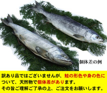 【1円～】北海道産【新巻鮭】姿1匹(1.4ｋｇ前後)化粧箱入り[冷凍]【未カット品 調理前にカットが必要です】白鮭秋鮭新巻きサケさけ_画像3