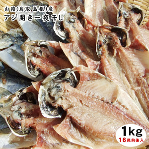 【1円～】日本海の鯵干物【アジ開き一夜干し】1ｋｇセット（250ｇパック×4袋・合計16-20尾程度入）［日本海産］〔冷凍〕あじ魚