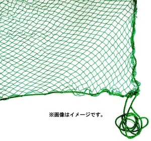 在庫 PE養生ネット 10x10m グリーン 網目25mm目 ポリエチレン 周囲6mmロープ 各コーナー1m出し 多目的PEグリーンネット