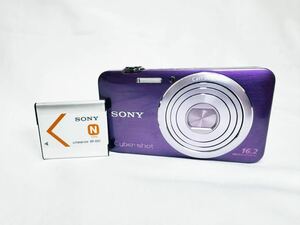 ◆極上美品◆ ソニー SONY Cyber-shot DSC-WX30 #195 #5501