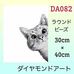 DA082ダイヤモンドアートキット猫は見た