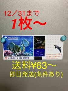 新江ノ島水族館招待券1枚〜3枚