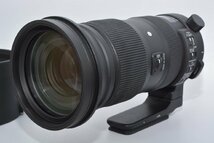 ★極上品★ Sigma シグマ 60-600mm F4.5-6.3 DG OS HSM Sports ニコンF用_画像1