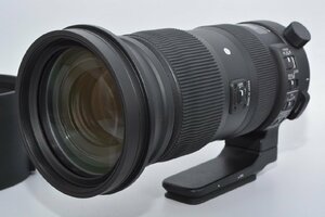 ★極上品★ Sigma シグマ 60-600mm F4.5-6.3 DG OS HSM Sports ニコンF用