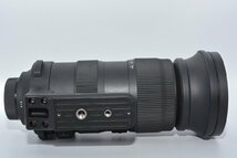 ★極上品★ Sigma シグマ 60-600mm F4.5-6.3 DG OS HSM Sports ニコンF用_画像6