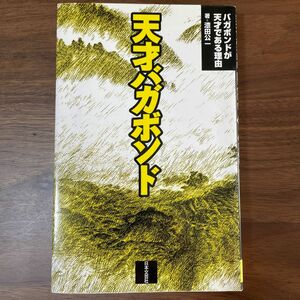 天才バガボンド　バガボンドが天才である理由 漆田公一／著