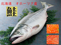 【冷凍】秋鮭 アキアジ 特上オホーツク産　メス2.6㎏～１匹_画像1