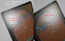 Magic:The Gathering/PROMO DCI マナ漏出 Mana Leak/英1 FOIL_画像10