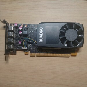 NVIDIA Quadro P1000 グラフィックボード ELSA EQP1000-4GEB GDDR5 4GB PCI Express3.0 x16 Mini DisplayPort x4 ロープロファイル