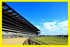 Ｇ１予想　東京大賞典　１２月２９日　Ｇ１オーラス　大井競馬