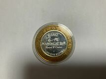ラスベガス　スーベニアコイン　10ドル　純銀⑥_画像1