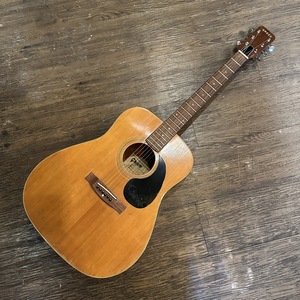 Greco Model 100 Acoustic Guitar акустическая гитара Greco -z717