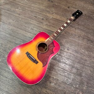 Takamine Elite HM-25 アコースティックギター タカミネ ジャンク - z827