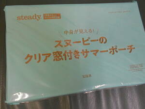 steady付録 スヌーピーのクリア窓付きサマーポーチ