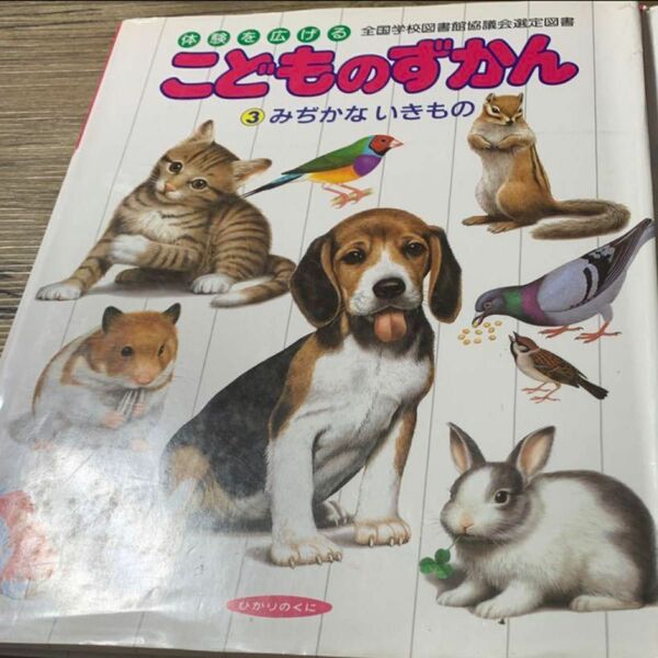 体験を広げる。ごどものずかん。③みぢかないきもの