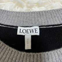 極美品 LOEWE 【大人気デザイン】ロエベ ニット セーター トップス アナグラム 刺繍 ロゴ 羊毛 ウール マルチカラー メンズ サイズM_画像5