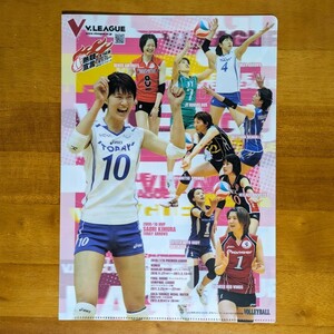 月刊　バレーボール　2010年12月号付録　クリアファイル　未使用　