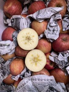 44.お買い得　福島県産　フレッシュ富士リンゴ　家庭用箱込み5kg 綺麗なリンゴ