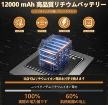 1B05z0L 電動チェーンソー 6インチ ーンソー 電動ミニチェーンソー バッテリー2点付属 保護ケース付き_画像3