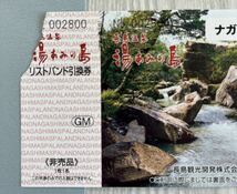 湯あみの島　ナガシマスパーランド 入場券 _画像2