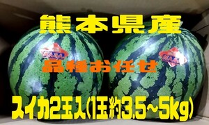 熊本県産スイカ2玉入【1玉約3.5～5kg】品種お任せ!!