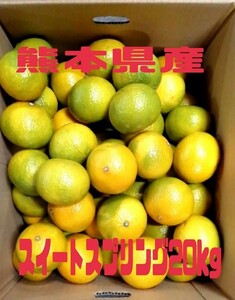 熊本県産スイートスプリング20kg☆