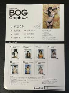 BIG ONE GIRLS graph No.7 サイン入りポラ　応募券　1枚