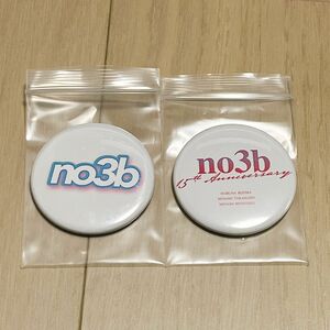 【新品】 no3b 缶バッジ ノースリーブス AKB48