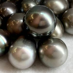 ［南洋黒蝶真珠21点おまとめ］D 100g/500ct 約14.5-20.5mm珠 black pearl パール ルース 裸石 宝石 ジュエリー jewelry 