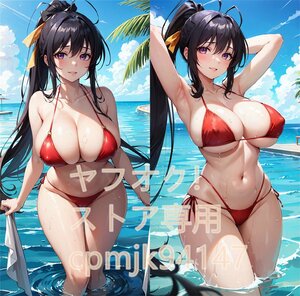 [ハイスクールD×D] 姫島朱乃 水着/90cm×45cmサイズ/抱き枕カバー