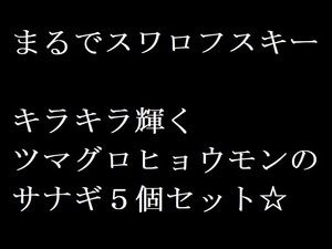 bz02● 【即決】 ツマグロヒョウモン サナギ５個 タテハチョウ ヒョウ柄 カラフル チョウチョ 蝶 昆虫 セット 自由研究