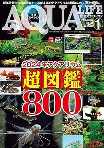 送料無料★本 月刊アクアライフ 最新号 ２０２４年１月号 ＡＱＵＡＬＩＦＥ