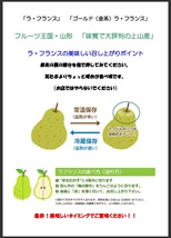 今年ラスト 山形発 県産ラ・フランス 予冷済品 ４L～５L サイズおまかせ ５Kg 専用箱入り 気持ち訳アリ 翌日発送可　★記載文章・要！確認_画像6