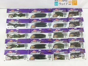 バークレイ パワーベイト マックスセント キングテール 8インチ・ジェネラル 6インチ・ジェネラル 5インチ 他 計20点 新品