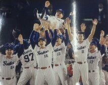 ★当時物 現状品 ヤクルトスワローズ 1995年 日本シリーズ優勝 記念品 写真 キャンバスフォトパネル 野村克也 グッズ_画像1