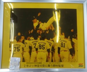 ★当時物 現状品 日刊スポーツ ヤクルトスワローズ 1997年 リーグ優勝 記念品 額入りフォトパネル 野村克也 グッズ