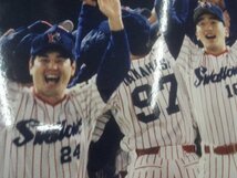 ★当時物 現状品 ヤクルトスワローズ 1995年 日本シリーズ優勝 記念品 写真 キャンバスフォトパネル 野村克也 グッズ_画像3