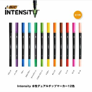 ビック(Bic) 水性 ペン 筆ペン カラー デュアルチップ マーカー 12色