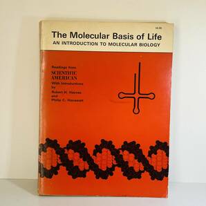 【医学書 洋書】The Molecular Basis of Life ペーパーバック