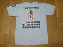 フライトジャケット Tシャツ Wild Children 　エアフォース_画像4