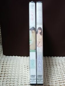 松坂南DVD２枚セット/南風・母性本能