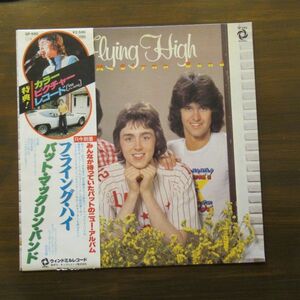 ROCK LP/ピクチャー盤/帯付き/The Pat McGlynn Band - Flying High/A-11336