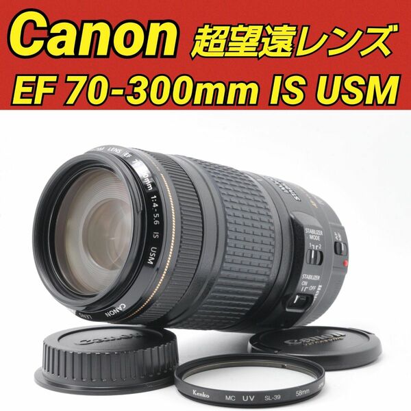 Canon EF 70-300mm F4-5.6 IS USM キヤノン 望遠レンズ 高性能手振れ補正