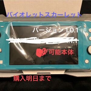 Nintendo Switch Lite ライト　ターコイズ　ブルー　バージョン　1.1.1 1.0.1 ポケモン
