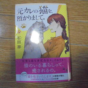 石田祥  元カレの猫を預かりまして の画像1