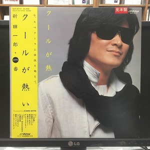 新田一郎 / クールが熱い ※見本盤白ラベル/和GROOVE/スペクトラム 国内盤 (帯付)