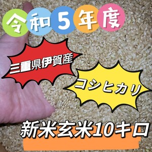 値下げ4200円→3999円！新米！大人気！玄米【令和5年産】三重県 伊賀米 コシヒカリ 10㎏ 