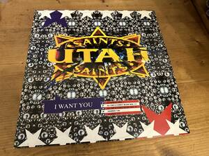 12”★Utah Saints / I Want You / プログレッシブ・ハウス・クラシック！The Sabres Of Paradise